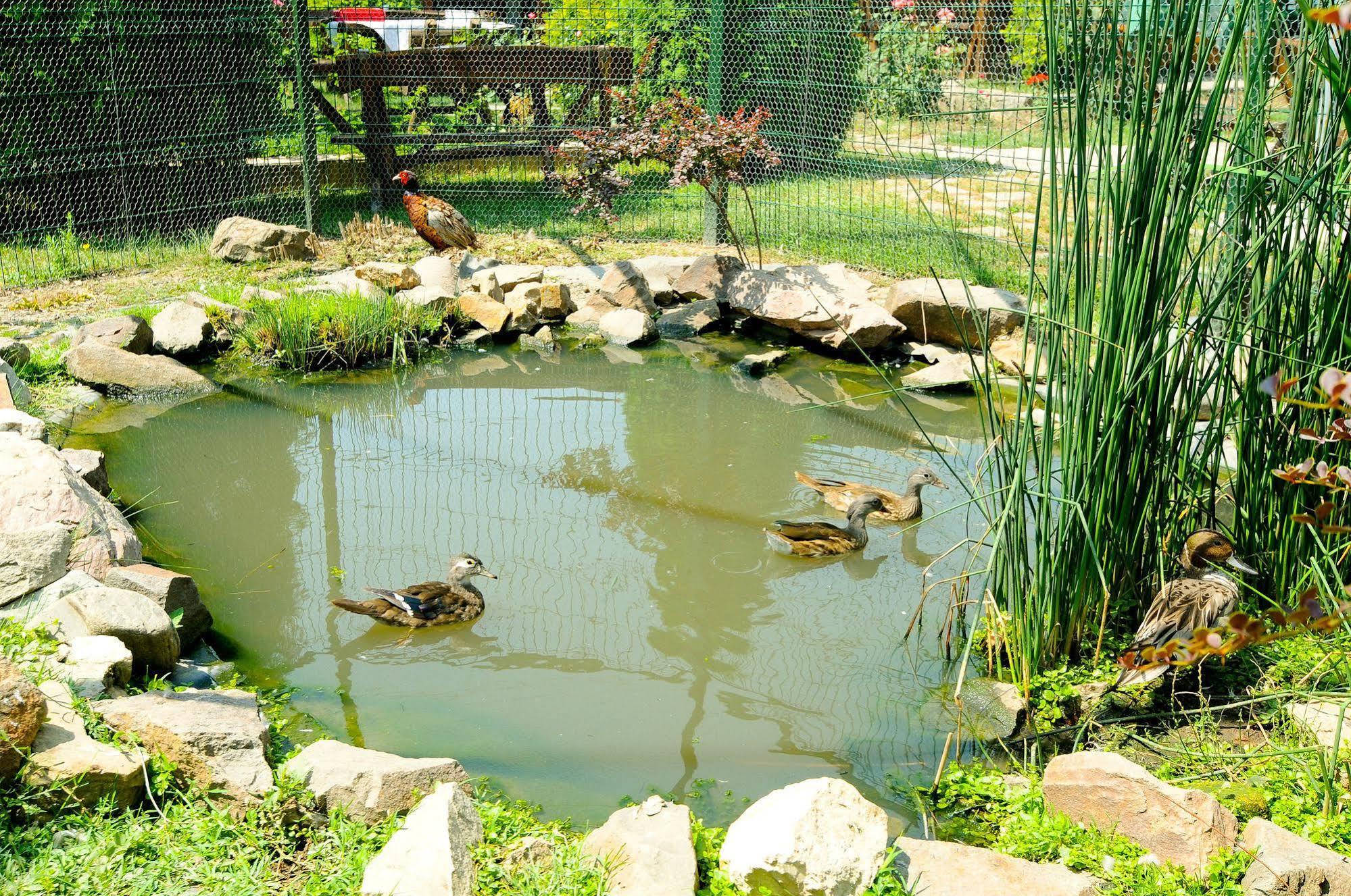 Pension La Cupola เตอร์กู-มูเรช ภายนอก รูปภาพ